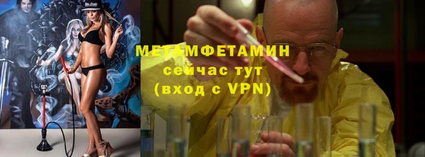 шишки Абаза