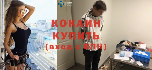 шишки Абаза