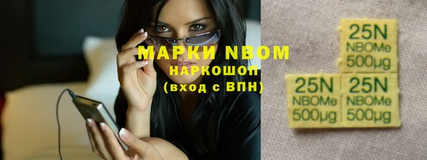 шишки Абаза