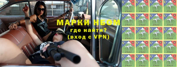 шишки Абаза