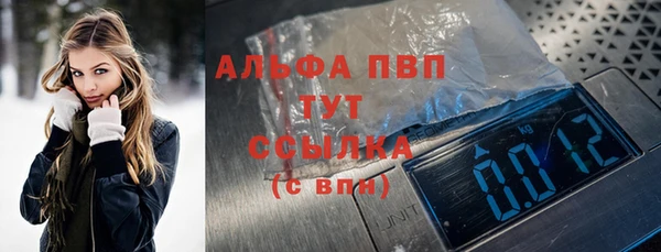 шишки Абаза