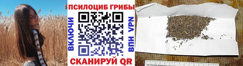 дарнет шоп  Ленинградская  площадка телеграм  Псилоцибиновые грибы GOLDEN TEACHER 